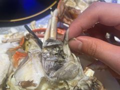 -半岛听涛蒸汽海鲜自助(K11店)