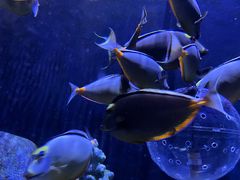 -成都浩海立方海洋公园