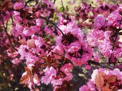 -白水寺森林公园