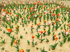 -公益图书馆(江南大学店)