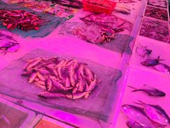 -芦潮港集贸市场