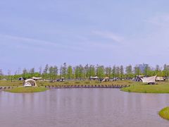 -春花秋色城市公园