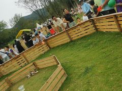 -黄陂区野村谷景区