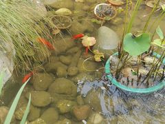 -墨居上隐·院子里火锅(峨眉店)
