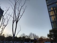 -许阿姨糕团店(南京总店)