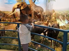 -陕西自然博物馆