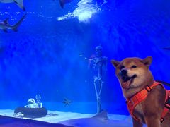 -太平洋海底世界