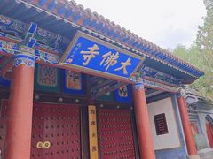 -张掖大佛寺景区