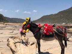 -陕西黄河壶口瀑布旅游区