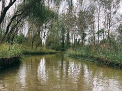 -溱湖国家湿地公园