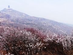-定都峰