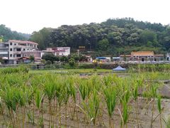 -红山村
