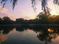 -丰台花园