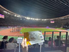 -杭州奥体中心-体育场