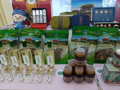 -南宁国际会展中心(会展东博文化旅游区)