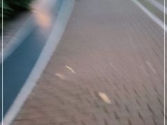 -苏州河梦清园环保主题公园