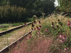 -永定河休闲森林公园