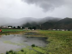 -纳帕海依拉草原