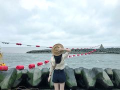 -南汇嘴观海公园