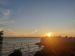 -宝安西湾红树林湿地公园