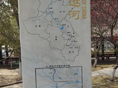 -桃花堤公园