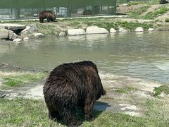 -上海野生动物园