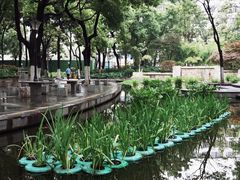-常州古运河南大街文化旅游区-人民公园