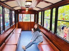 -合肥滨湖国家森林公园