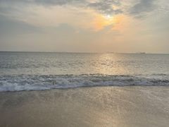 -采粤轩中餐厅(惠州金海湾喜来登度假酒店)