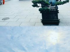 -上海东林寺(金山区)