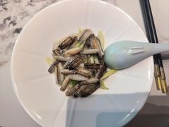 -新光酒家·河豚·海鲜·蟹料理(浦东店)