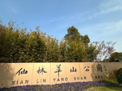 -羊山湖公园