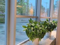 -麦当劳(北苑秋实路店)