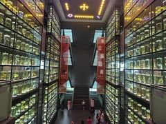 -广东中医药博物馆