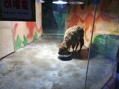 -白鹿仓冰雪海洋世界