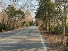 -盐城丹顶鹤湿地生态旅游区