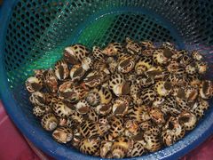 -幸福姐海鲜大排档