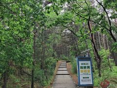 -帽儿山国家森林公园