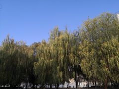 -南昌青山湖风景区