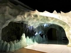 -青藏高原自然博物馆