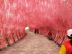 -玻璃桥景区石牛寨