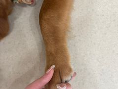 -共舞时光猫咖·狗咖(新街口店)