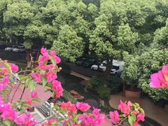 -杭州香格里拉·香宫中餐厅
