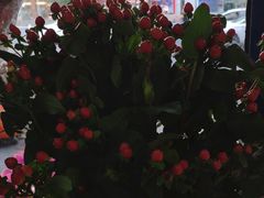 -亭亭鲜花店(中山北路店)