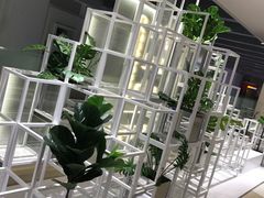-叶子与茶(苏宁广场店)