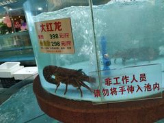 -金龙渔港(双楠店)