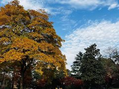 -标记Jane's kitchen(平桥直街店)