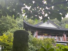 -十八棵（老龙井）御茶园(老龙井店)