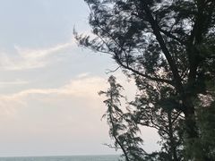 -硇洲岛旅游区