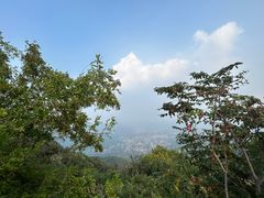 -香山公园